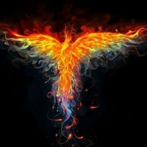 Meet your Posher, Dalisha